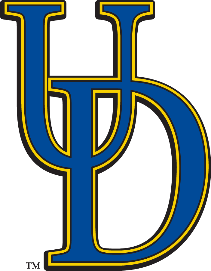 Delaware Blue Hens 2009-2018 Secondary Logo diy DTF decal sticker